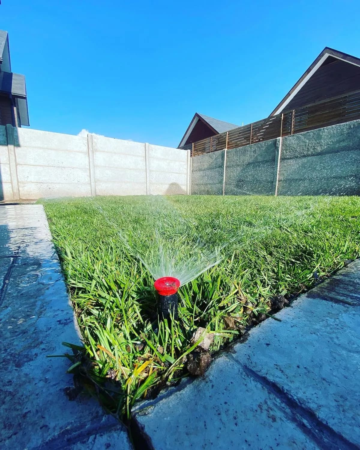 Aspersor de riego automático regando el pasto junto a un pavimento de piedra